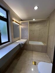 The Balmoral (D10), Condominium #498477501